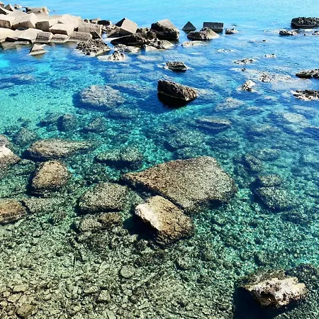 Maxmar * Gallipoli